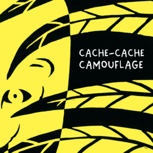Cache-cache, camouflage