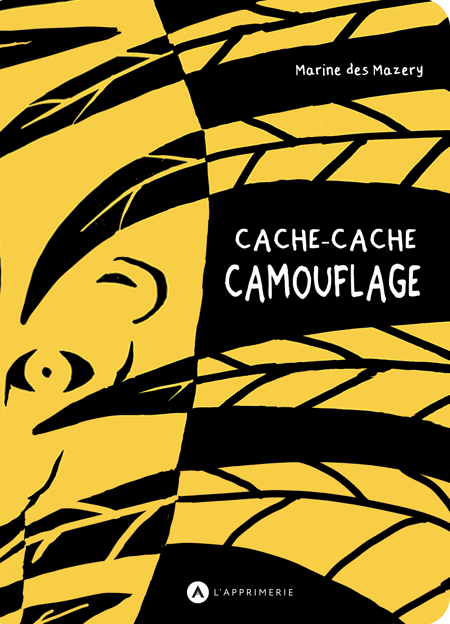 Cache-cache, camouflage